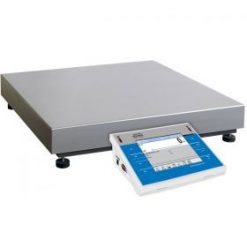 Radwag WLY 60/C2/R Precision Balance