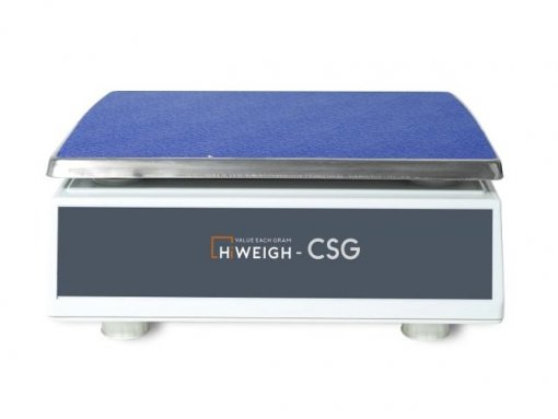 CSG Counting Scale_2 - Hi Weigh